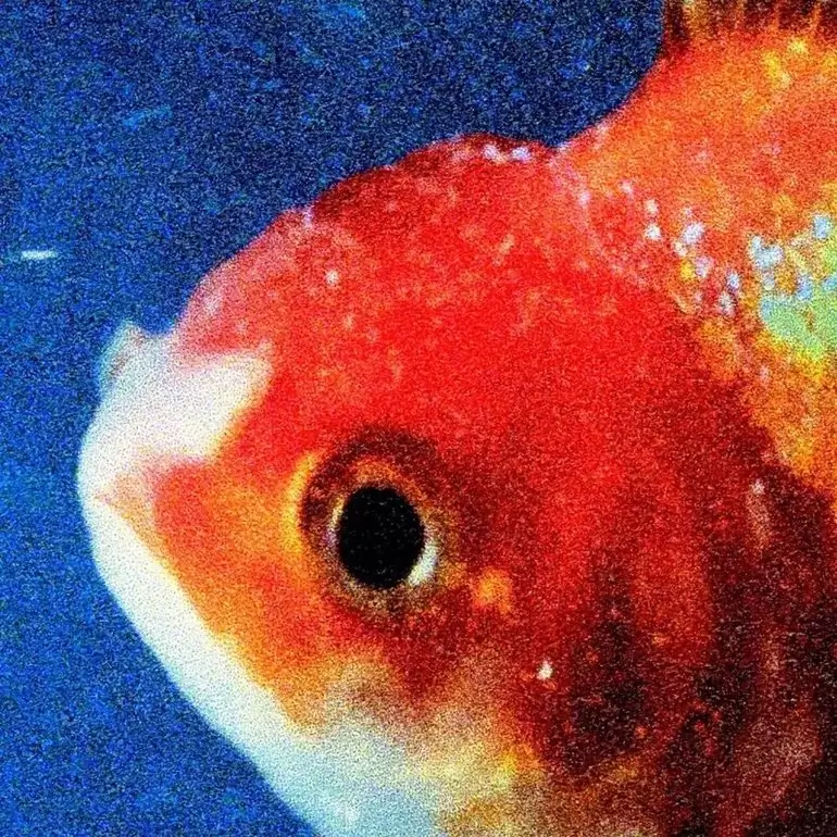 Big Fish Theory cover